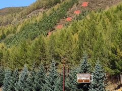 -塞罕坝国家级自然保护区