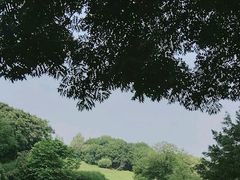 -成都保利公园皇冠假日酒店(熊猫基地店)