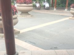 -碧水湾温泉