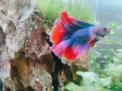 -Lumi露米·美甲美睫品质店