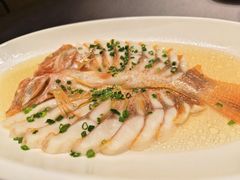 -骏莱海鲜鱼港(五角场店)