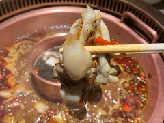-小南房鲜美蛙火锅(北苑店)