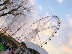 -锦江乐园舞狸花花游园会(夜场专享)
