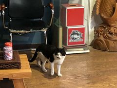 -酷鱼垂钓CLUB(朝阳区博大路店 )