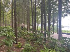 -云龙湖旅游景区