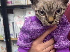 -瑞派康怡24h宠物医院·犬猫医疗中心·微创绝育(瑞景分院)