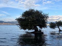 -大理洱海