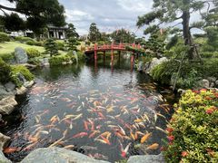 -芽庄珍珠岛游乐园
