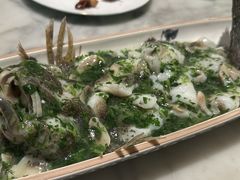 -蝶园·装修中(BFC外滩金融中心店)