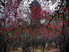 -塔子山公园