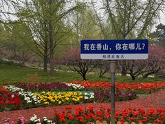 -香山公园