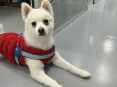 -心仪动物医院·牙专科·肿瘤·心脏科(西客站院)