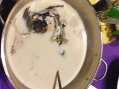 雄鱼头豆腐汤-温汤大酒店餐厅
