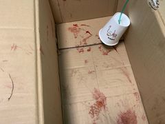 -喜多萌中农锦绣动物医院24H·猫科·牙科MRI·CT