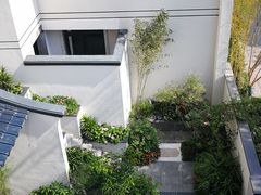 -少华山国家森林公园