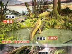 -国家自然博物馆