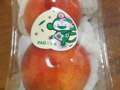 -百果园PAGODA(应元路店)