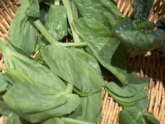 -巴奴毛肚火锅(龙湖锦艺城店)