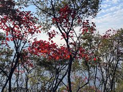 -白帝城·瞿塘峡景区