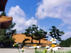 -白云山风景名胜区