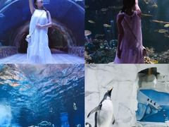 -华夏文旅西安度假区