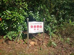 -雨花胜境