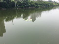-前关湿地公园