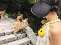 -神农山景区