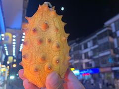 -印象鲵宴·张家界地标美食名片(溪布街店)