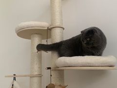 -法兰之吻蛋糕甜品(大望路店)