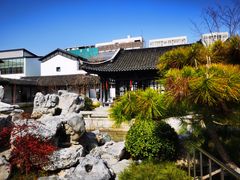 -青果巷历史文化街区