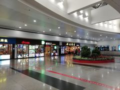 -上海浦东国际机场-T2航站楼