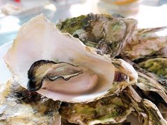 -南蚝小贝海鲜特色餐厅(南澳岛店)