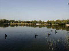 -梦旅人咖啡馆快餐(成府路北河沿小区店)