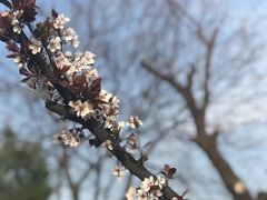 -艾溪湖湿地公园