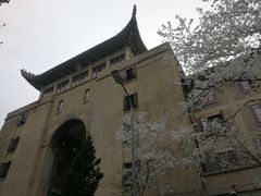 -武汉大学-樱园