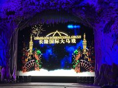 -广州长隆国际大马戏