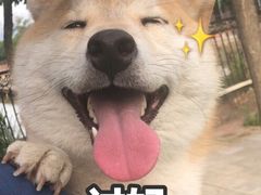 -拉那巴米 蛋糕定制(世纪东方广场店)