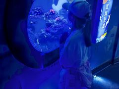 -烟台海昌鲸鲨海洋公园