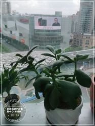 -时尚妈咪产后修复中心