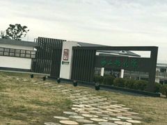 -南汇水蜜桃采摘(大团店)