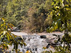 -海南霸王岭国家森林公园