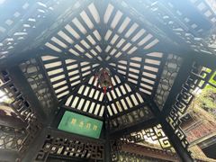 -顺峰山公园