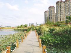 -那考河湿地公园