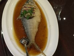 -半岛公馆(淞兴西路店)