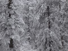 -瓦屋山景区