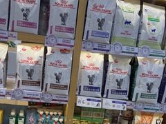 -美联众合动物医院·24h转诊中心