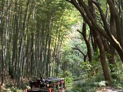 -同里国家湿地公园