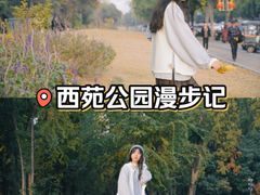 -西苑公园
