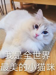 -Verywang半永久纹眉•仪器野生眉